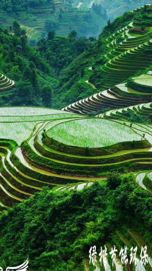 生態(tài)和環(huán)境規(guī)劃、可行性研究報(bào)告