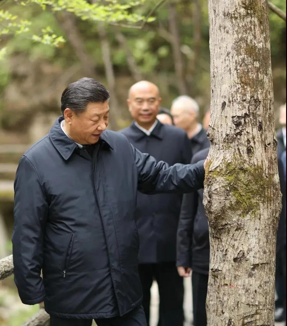 湖南綠楷節(jié)能環(huán)?？萍加邢薰?湖南土壤污染修復(fù),污水處理工程,農(nóng)業(yè)污染治理,環(huán)保工程