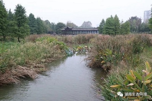 湖南綠楷節(jié)能環(huán)保科技有限公司,湖南土壤污染修復(fù),污水處理工程,農(nóng)業(yè)污染治理,環(huán)保工程 湖南綠楷節(jié)能環(huán)??萍加邢薰?湖南土壤污染修復(fù),污水處理工程,農(nóng)業(yè)污染治理,環(huán)保工程